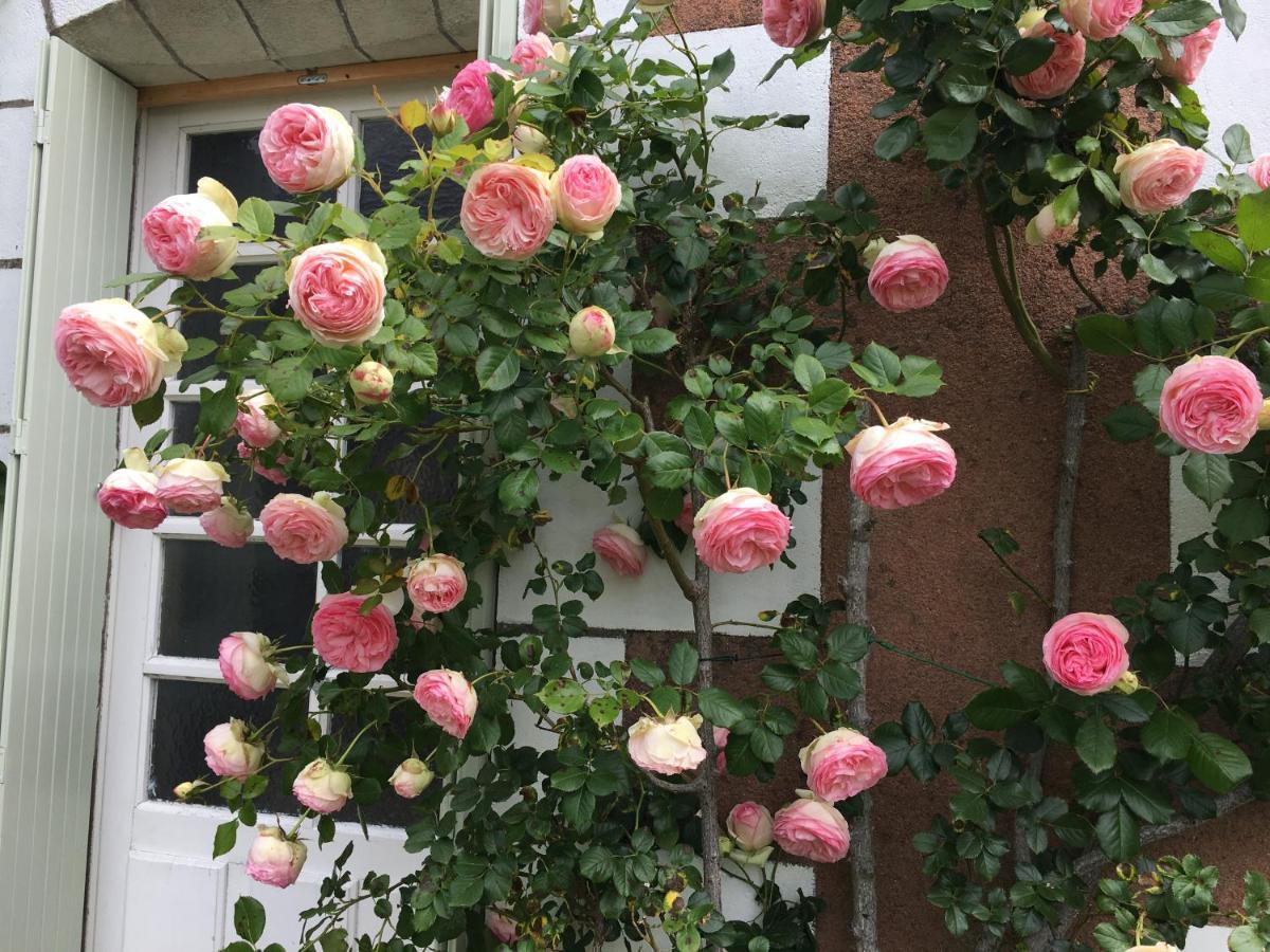 La Bauldiniere Bed and Breakfast Tauxigny Buitenkant foto